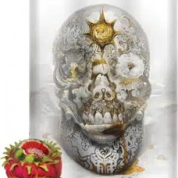 PANDA Skull Pre-Workout 40 serv Alto estimulante