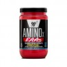 BSN AMINO X EAA 25 serv