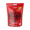 Musclemeds Carnivor mass 1250 Big Steer 15 lbs CHOCOLATE